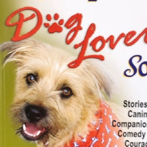 Chicken Soup Book - Picture 4 of 5